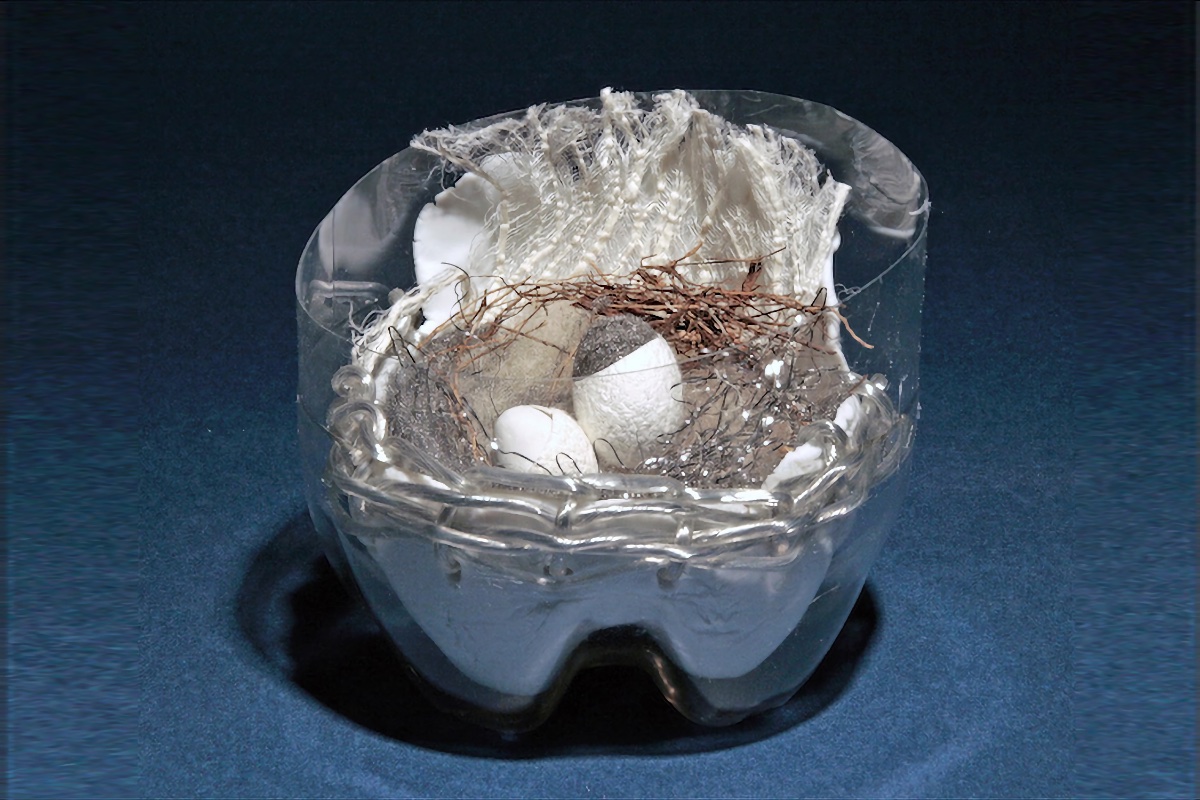 nest4