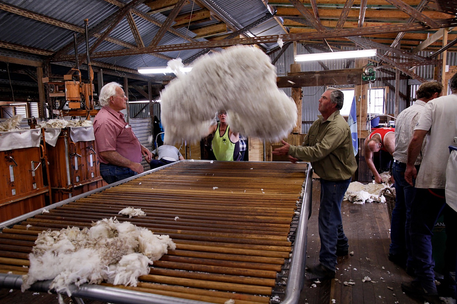 shear%20shed